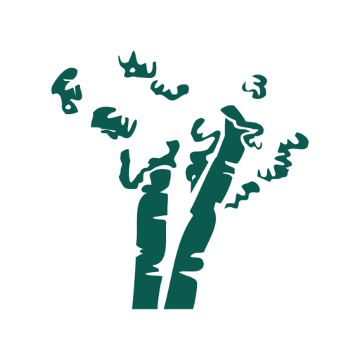 Camp des Bouleaux de L'Association D'Eglises Baptistes Evangeliques au Quebec logo